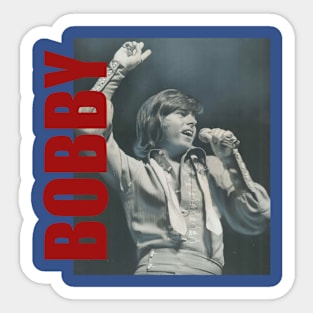 Bobby Sherman - Retro Aesthetic Fan Art Sticker